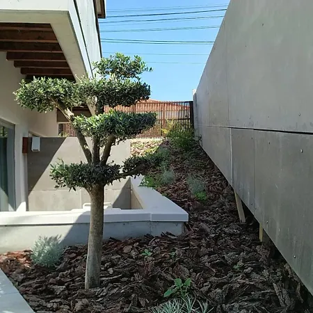 Albergaria Da Tomasia ベッド・アンド・ブレックファスト アルデイア・ド・メコ