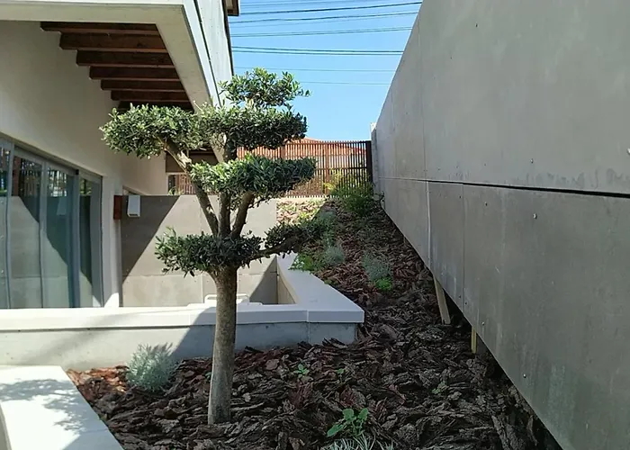 Albergaria Da Tomasia فندق مبيت وإفطار ألديا دو ميكو